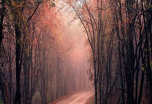 开云体育:CBA季后赛首轮焦点对决:广东vs上海狭路相逢 杜锋首次完整阵容.