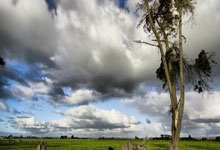 开云体育：[亚冠]海港花亚冠双双失利.