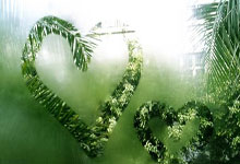 开云体育：[德甲]“药厂”与“狼堡”互交白卷.