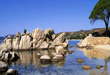 开云体育：[亚冠]海港花亚冠双双失利.